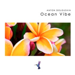 Ocean Vibe
