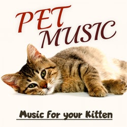 Pet Music: Music For Your Kitten
