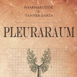 Pleuraraum