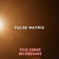 Pulse Matrix