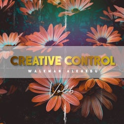 Creative Control (Vol. 6)