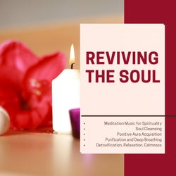 Reviving The Soul (Meditation Music For Spirituality, Soul Cleansing, Positive Aura Acquisition, Purification And Deep Breathing, Detoxification, Relaxation, Calmness)