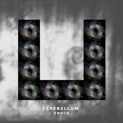 Cerebellum