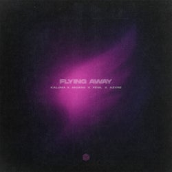 Flying Away (Extended Mix)
