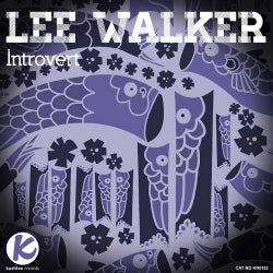 Introvert