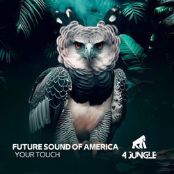 Your Touch