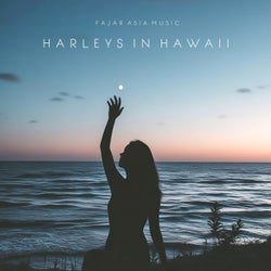 Harleys in Hawaii