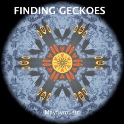 Finding Geckoes
