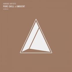 Pure Chill & Ambient, Vol. 06