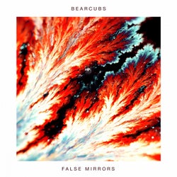 False Mirrors