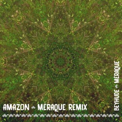 Amazon (Mèraque remix) - Mèraque Remix