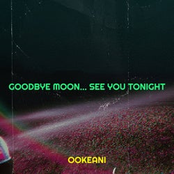 Goodbye Moon... See You Tonight