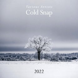 Cold Snap 2022