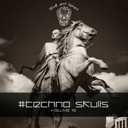 Techno Skulls, Vol. 15