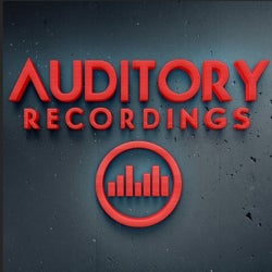Auditory Recordings Best of 2016