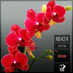 Dream