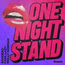 One Night Stand