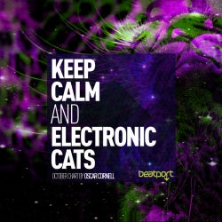 Keep calm and electronic cats.