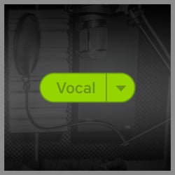 Top Tagged Tracks: Vocal