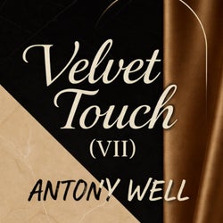 Velvet Touch (VII)