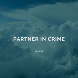 Partner in Cr!Me