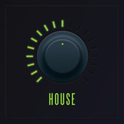 Synth Sounds: House