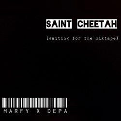 Saint Cheetah (Waiting for the Mixtape) (feat. DEPA)