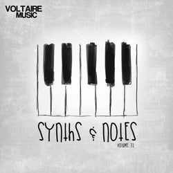 Synths And Notes 31