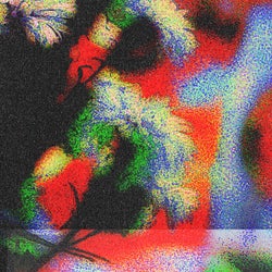 Yǔ