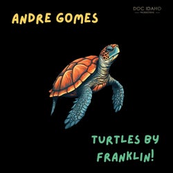 Turtles by Franklin