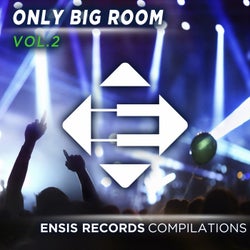 Only Big Room - Vol. 2