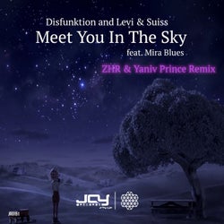 Meet You in the Sky (ZHR & Yaniv Prince Remix)