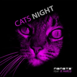 Cats Night
