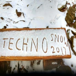 Techno Snow 2019