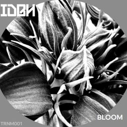 BLOOM EP