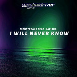 I Will Never Know (Pulsedriver Remix)