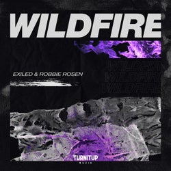 Wildfire