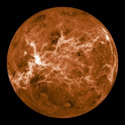 Venus Chart
