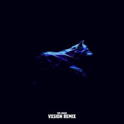 The Chase - VXSION Remix Extended