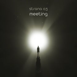 Meeting