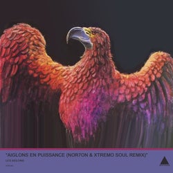 Aiglons En Pluissance (NOR7ON & Xtremo Soul Remix)