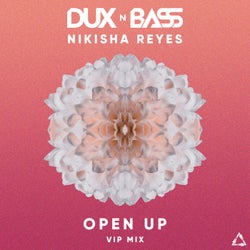 Open Up (VIP Mix)
