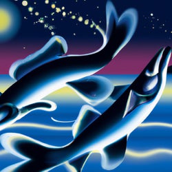 Flying Fish