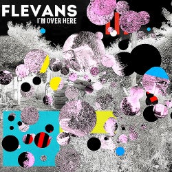 Flevans' November 2020 Disco Bits