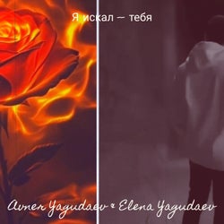 Я искал -- тебя