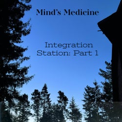 Integration Station:, Pt. 1