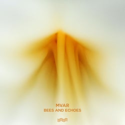 Bees and Echoes