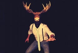 Moosefly