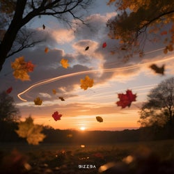 Wind Aura