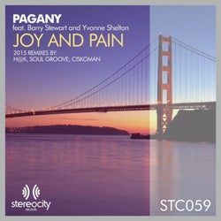 Joy & Pain (2015 Remixes)